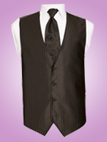 Lido Vest Collection